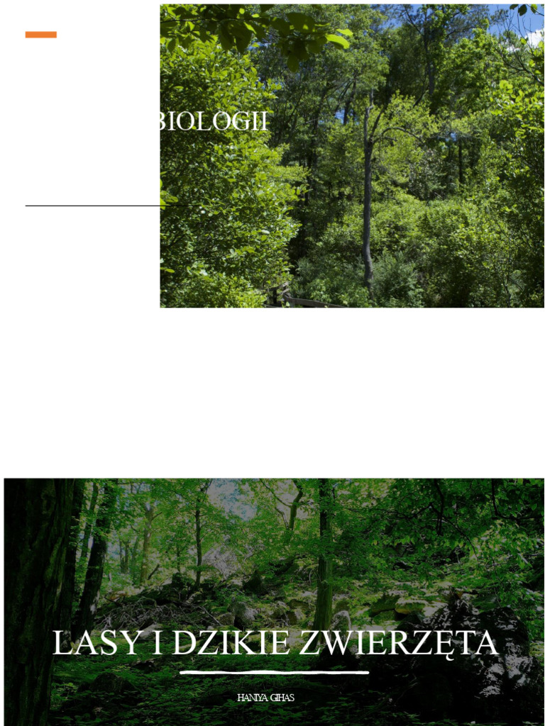 lasy-i-dzikie-zwierz-ta-pdf