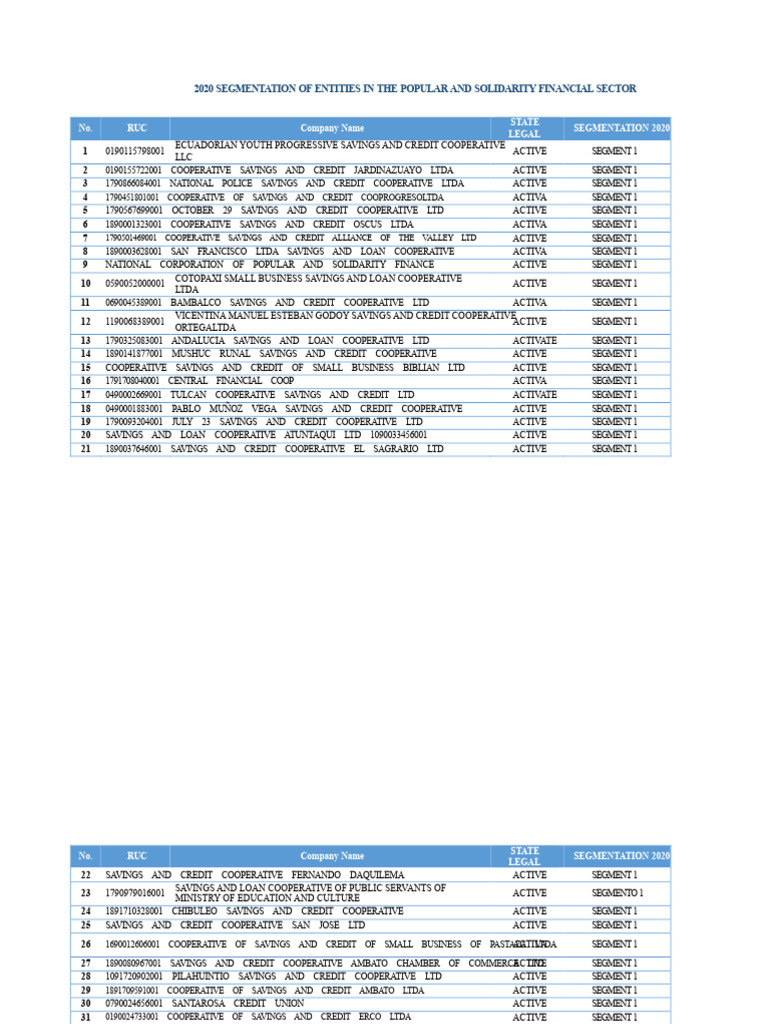 2020 Financial Sector Entity Segmentation | PDF | Cooperative | Credit