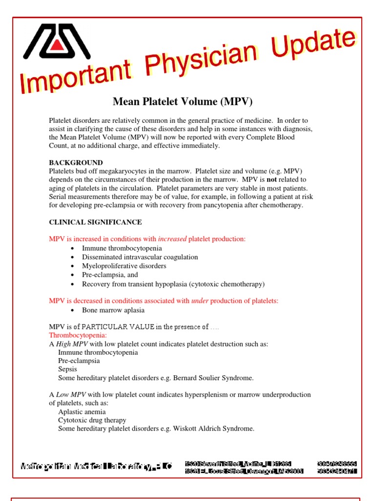 MPV Text | PDF