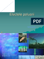 Efectele Poluarii Asupra Vietuitoarelor