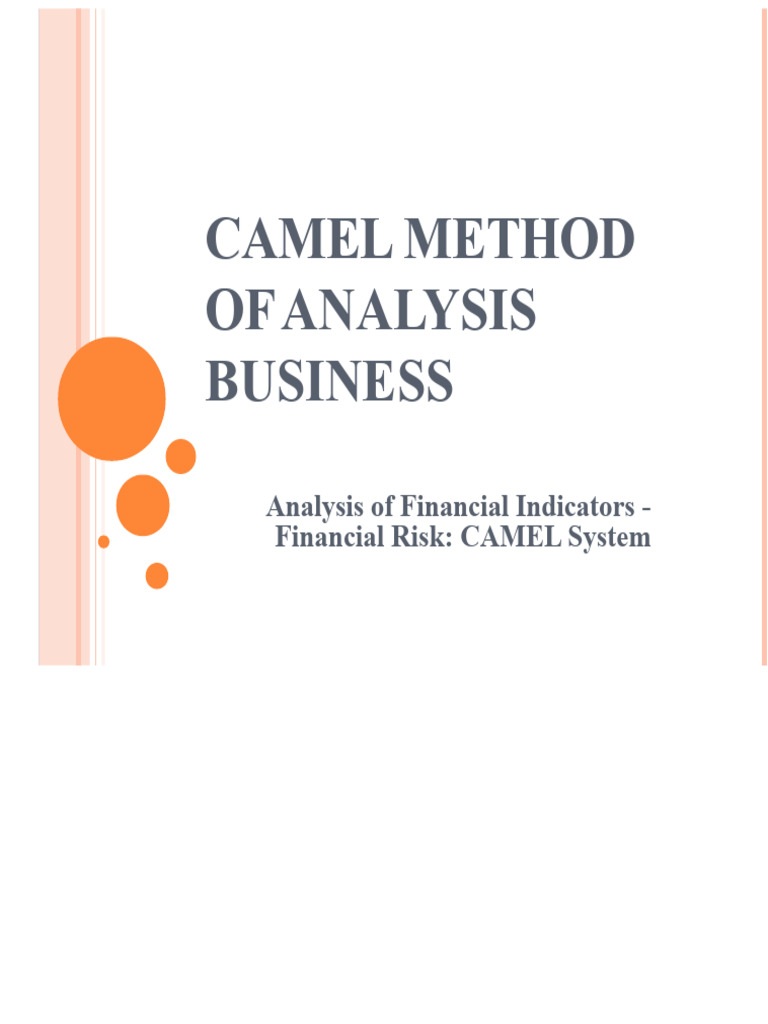 CAMEL Financial Analysis Methodology | PDF | Interest | Audit