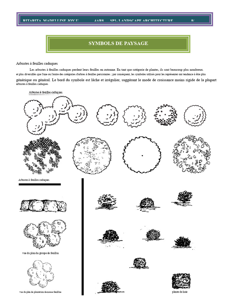 Symboles de paysage : types et significations | PDF | Arbres | Feuille