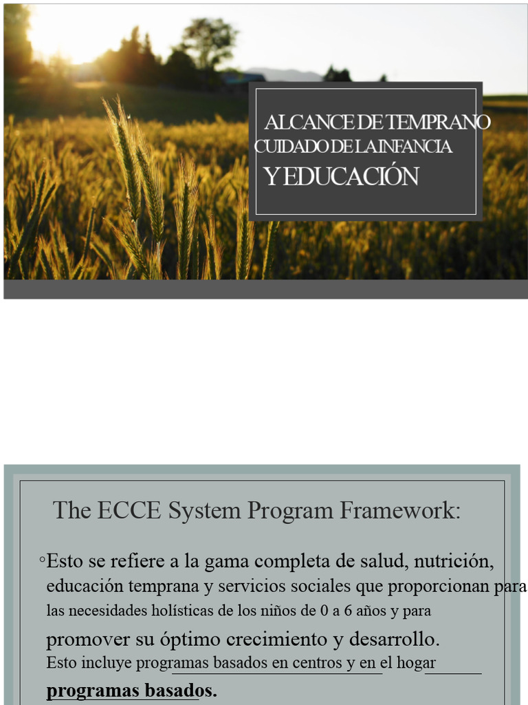 Alcance Del Cuidado y La Educación de La Primera Infancia | PDF ...