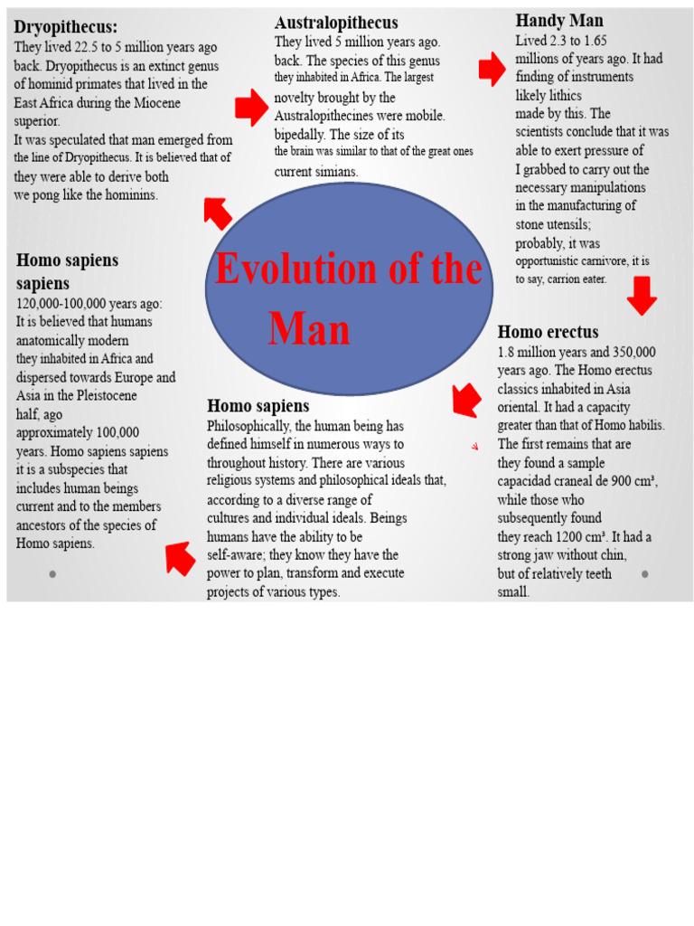 Evolution of Early Hominids | PDF | Homo | Human Evolution