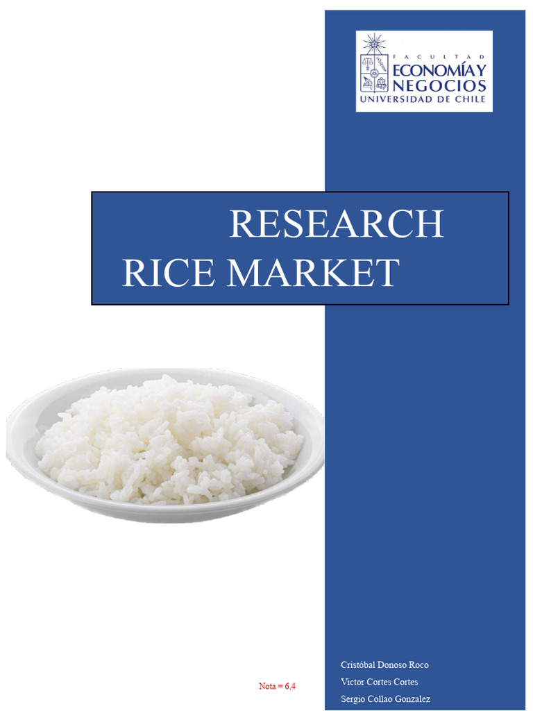 Rice Market Research_Marketing | PDF | Survey Methodology | Information