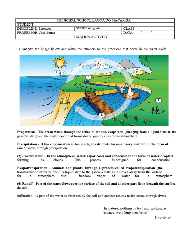 Activity About The Water Cycle | PDF