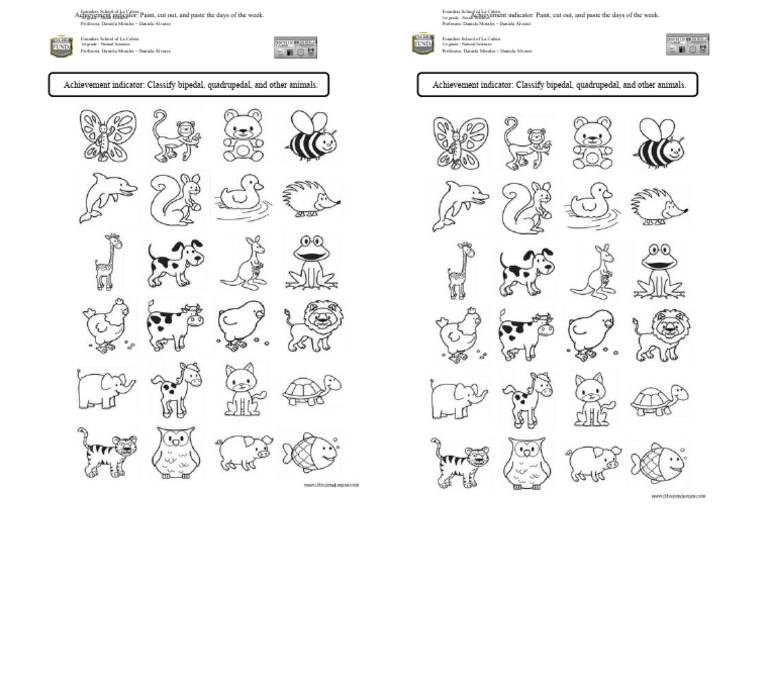 Classify Bipedal and Quadrupedal Animals | PDF