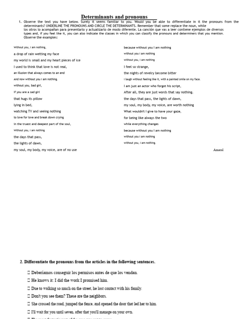 Pronouns and Determiners Guide | PDF | Grammatical Number | Noun