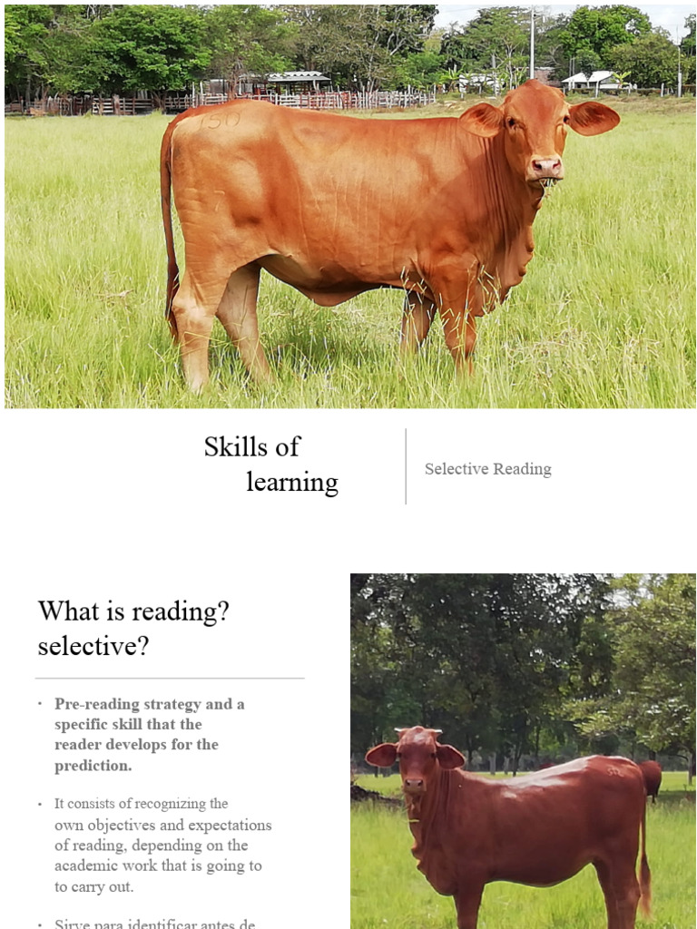 Selective Reading Strategies Explained | PDF