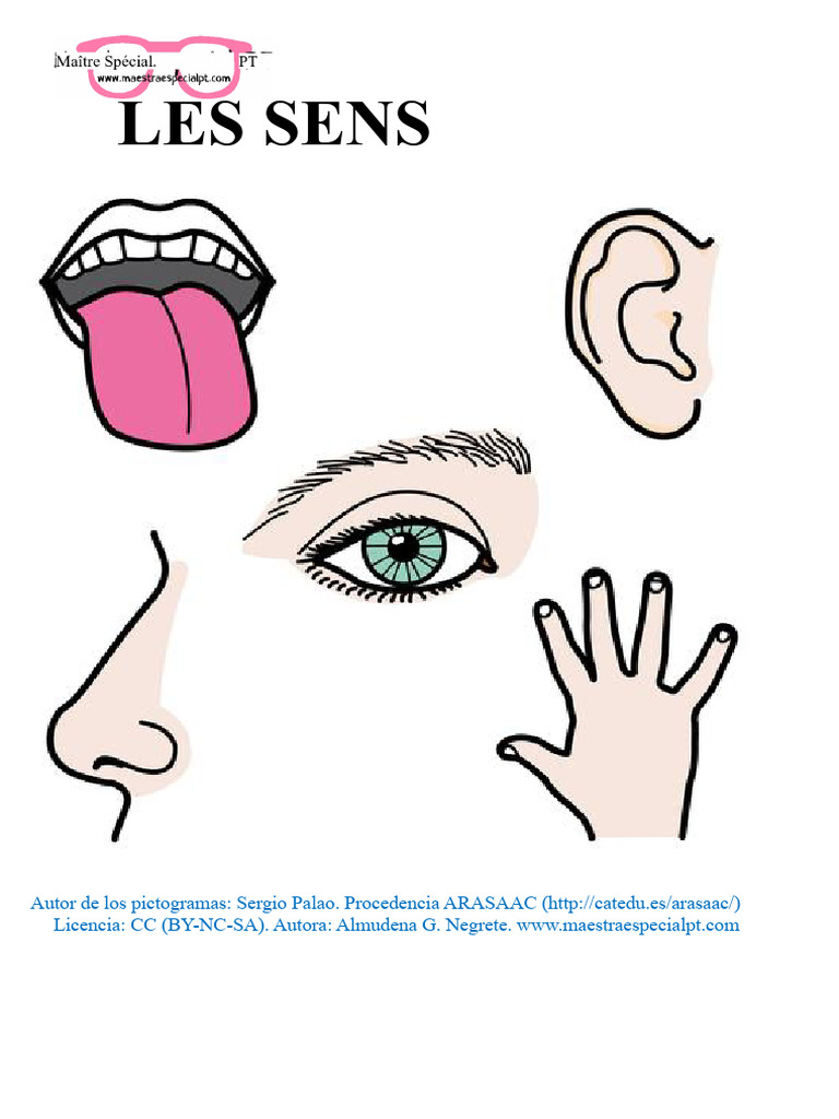 Comprendre les 5 sens humains | PDF | Sens (physiologie) | Sciences ...