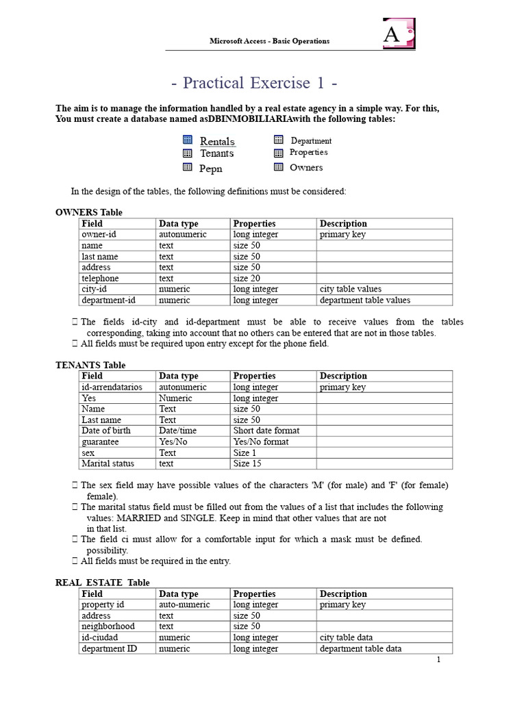 Microsoft Access Database Setup Guide | PDF | Integer (Computer Science ...