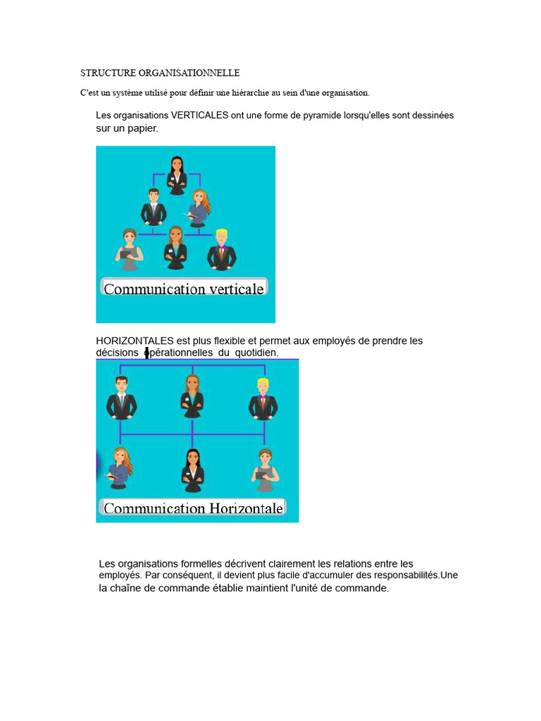 Types de structures organisationnelles | PDF