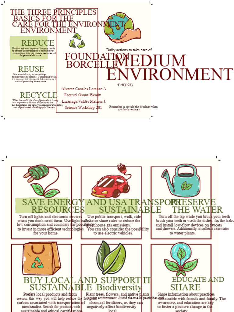 Tri-Fold Brochure Environmental Care Illustrated Green - 20240320 ...