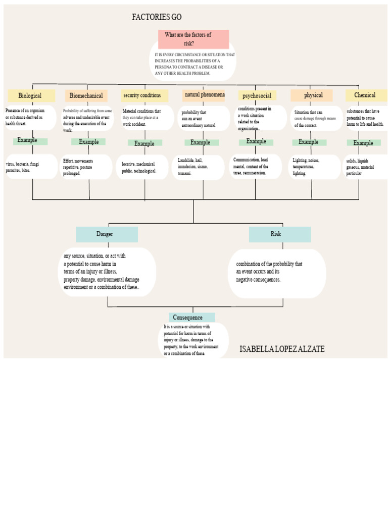 Understanding Workplace Risk Factors | PDF | Risk | Hazards