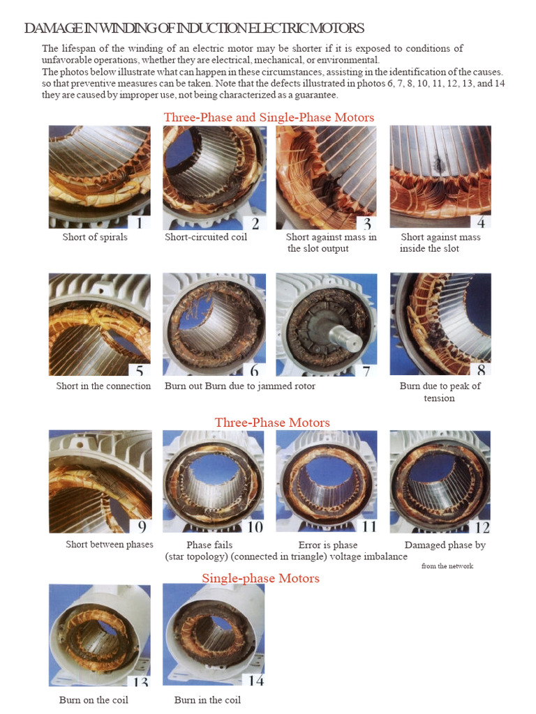 Induction Motor Winding Damage Guide | PDF