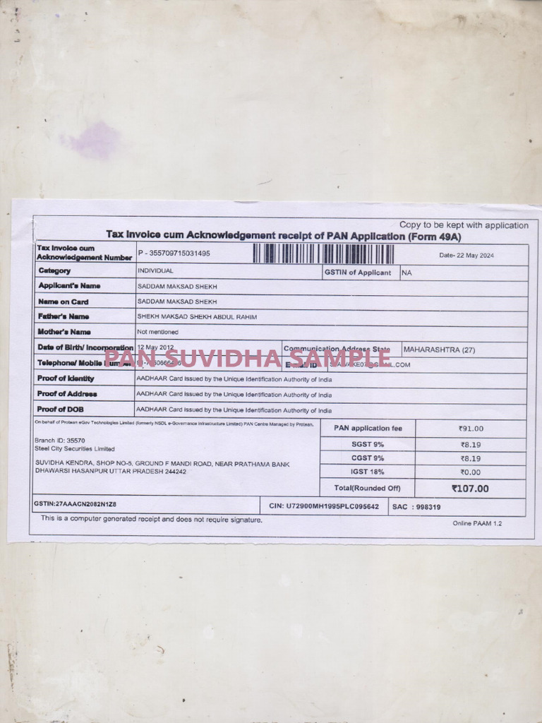 Minor Pan Sample | PDF