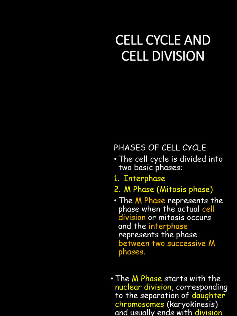Cell Cycle and Division Explained | PDF | Meiosis | Mitosis