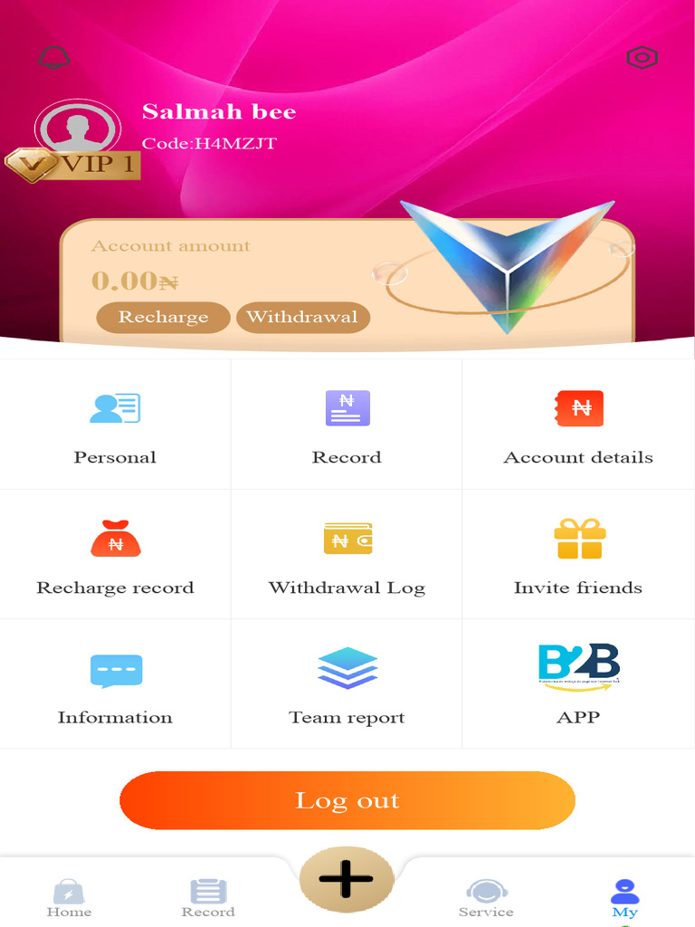 Personal Account Overview and Records | PDF