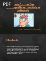 Transformações demográficas, sociais e culturais
