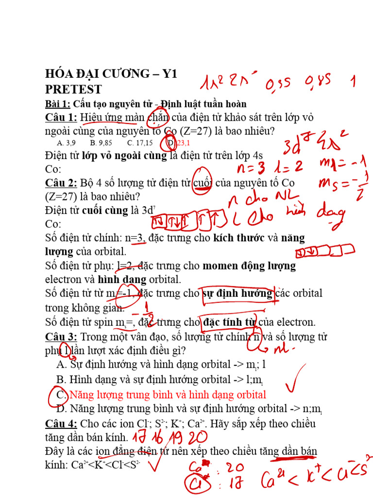 5 Pretest | PDF
