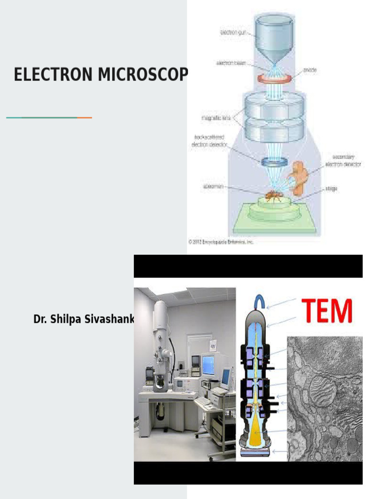 MOD 2 - 21BT3234 - Electron-Microscope - (1) - 16857862735930 | PDF ...