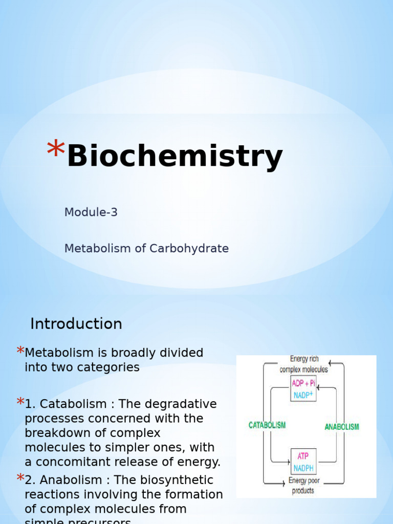 Carbohydrate Metabolism Overview | PDF | Glycolysis | Citric Acid Cycle