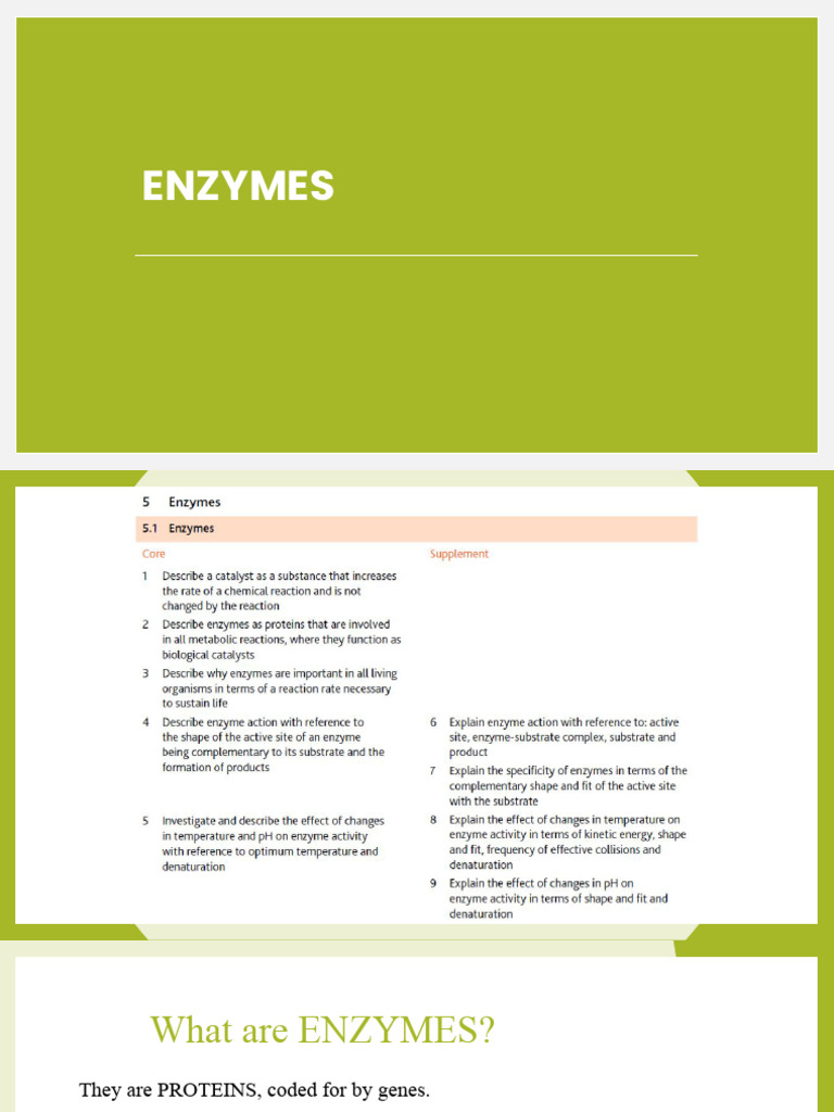 U5. 1 - Enzymes (Presentation) | PDF | Enzyme | Active Site