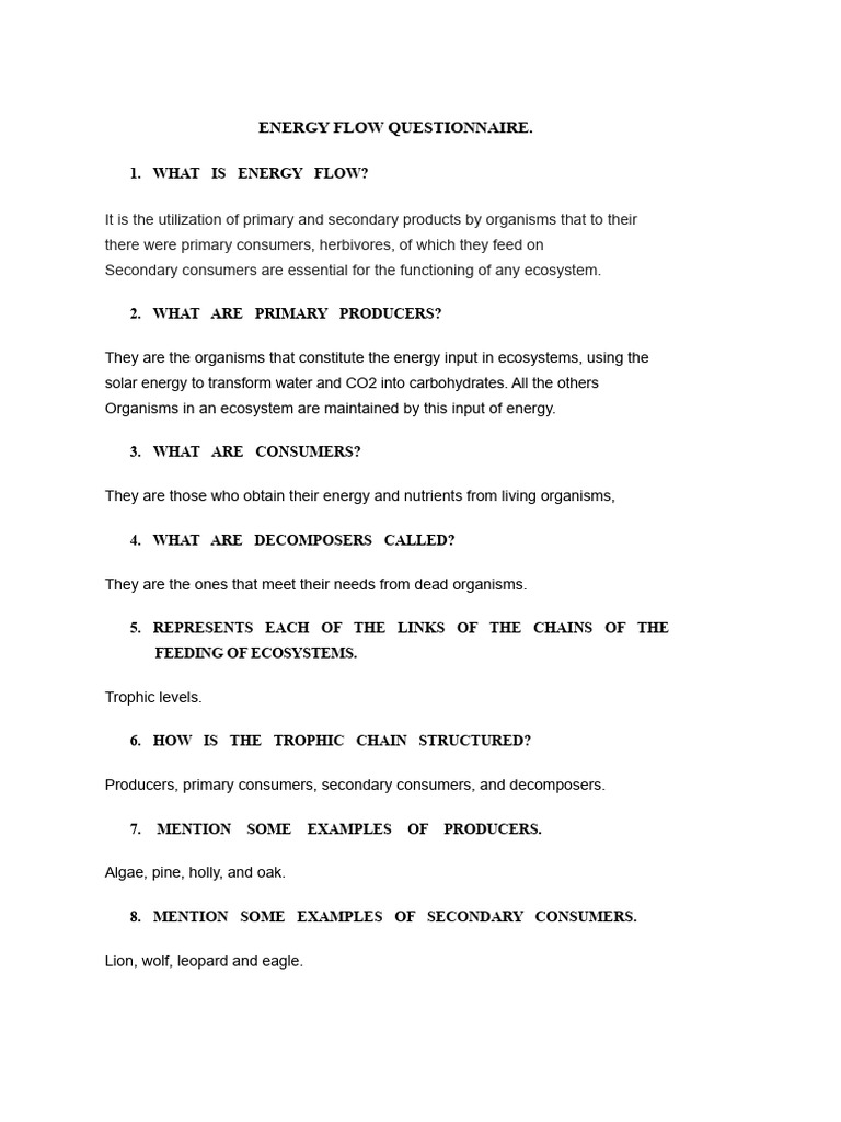 Energy Flow Questionnaire | PDF