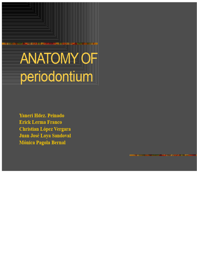 Anatomy of the Periodontium Explained | PDF | Periodontology | Human Tooth