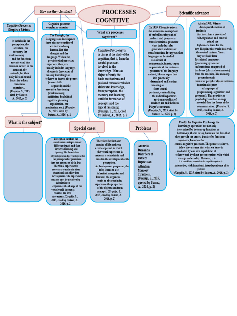 Understanding Cognitive Processes | PDF | Cognition | Perception