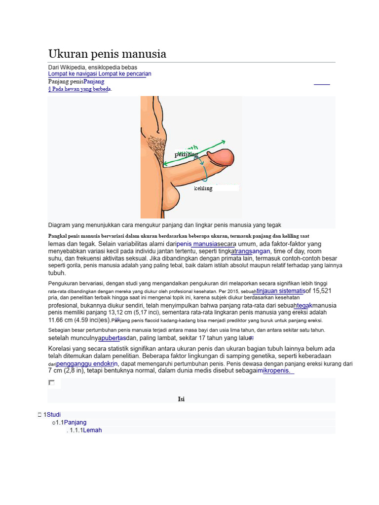 Ukuran Rata-rata Penis Manusia | PDF