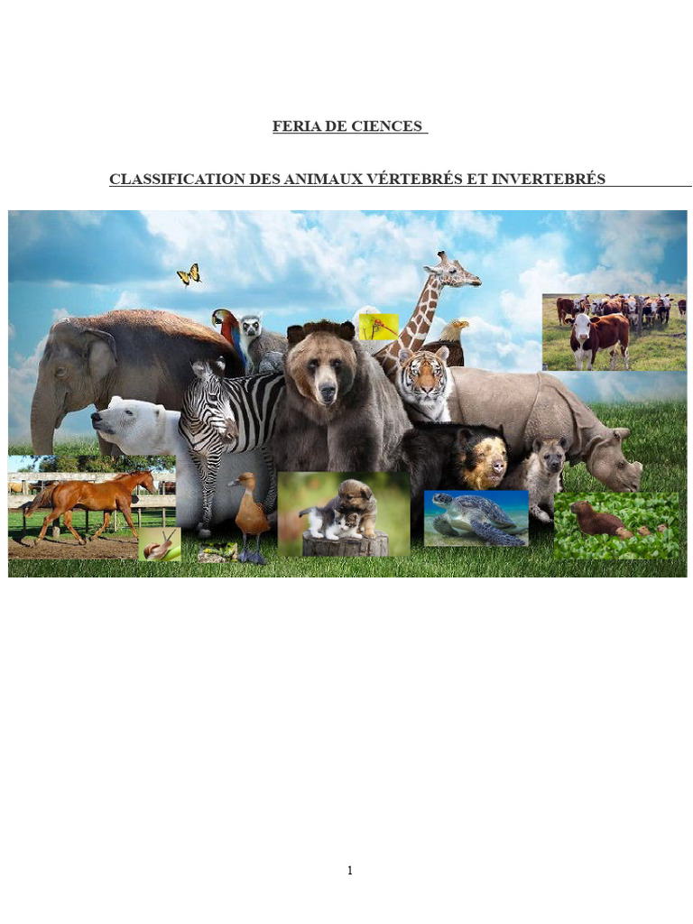 Classification des Animaux : Vertébrés et Invertébrés | PDF | Oiseaux ...