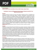 Download Ejemplo de Articulo Cientifico by Hugo Fernando SN96690800 doc pdf