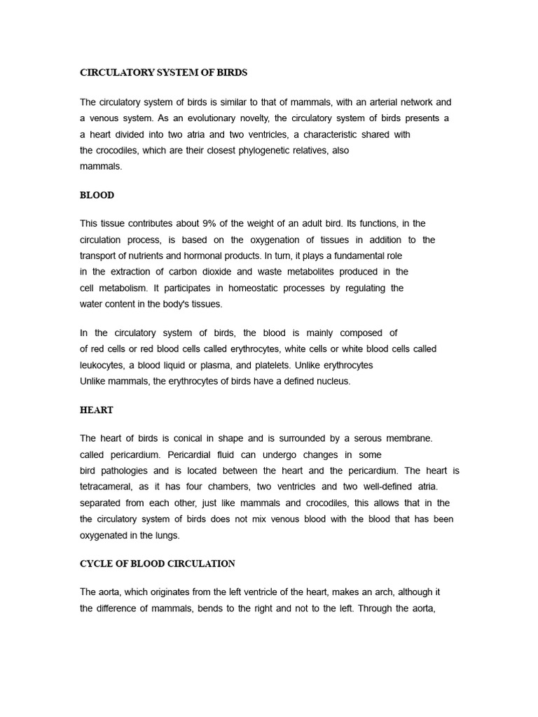 Circulatory System of Birds | PDF | Vein | Circulatory System