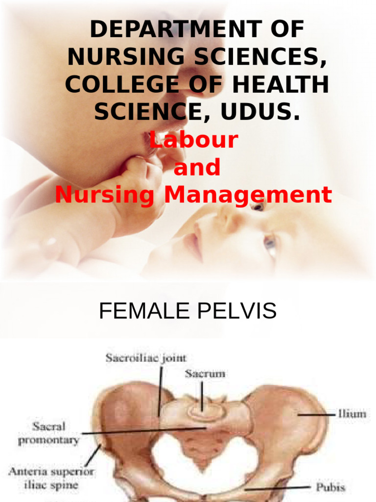 Rh - Labour and Management_073155 | PDF | Childbirth | Pelvis