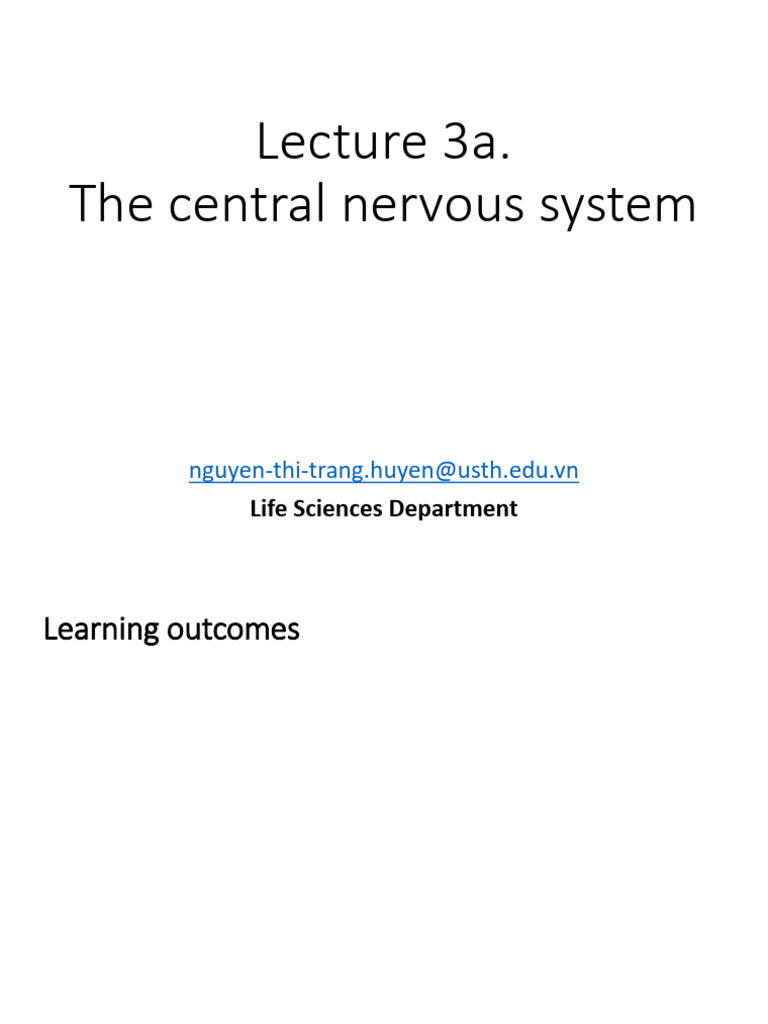 Understanding the Central Nervous System | PDF | Central Nervous System ...