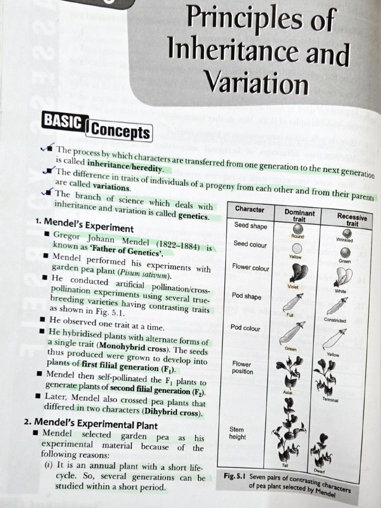 Grade XII Chapter Principles of Inheritance and Variation PDF | PDF