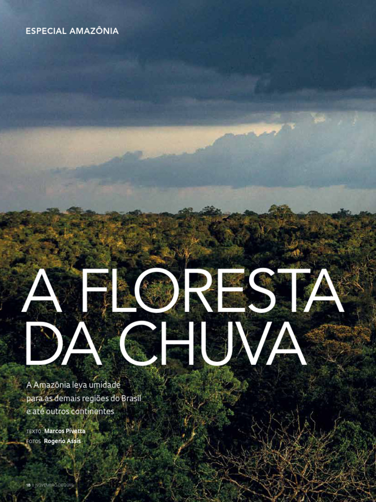 Amazônia: Impacto da Floresta no Clima | PDF | Floresta Amazônica ...