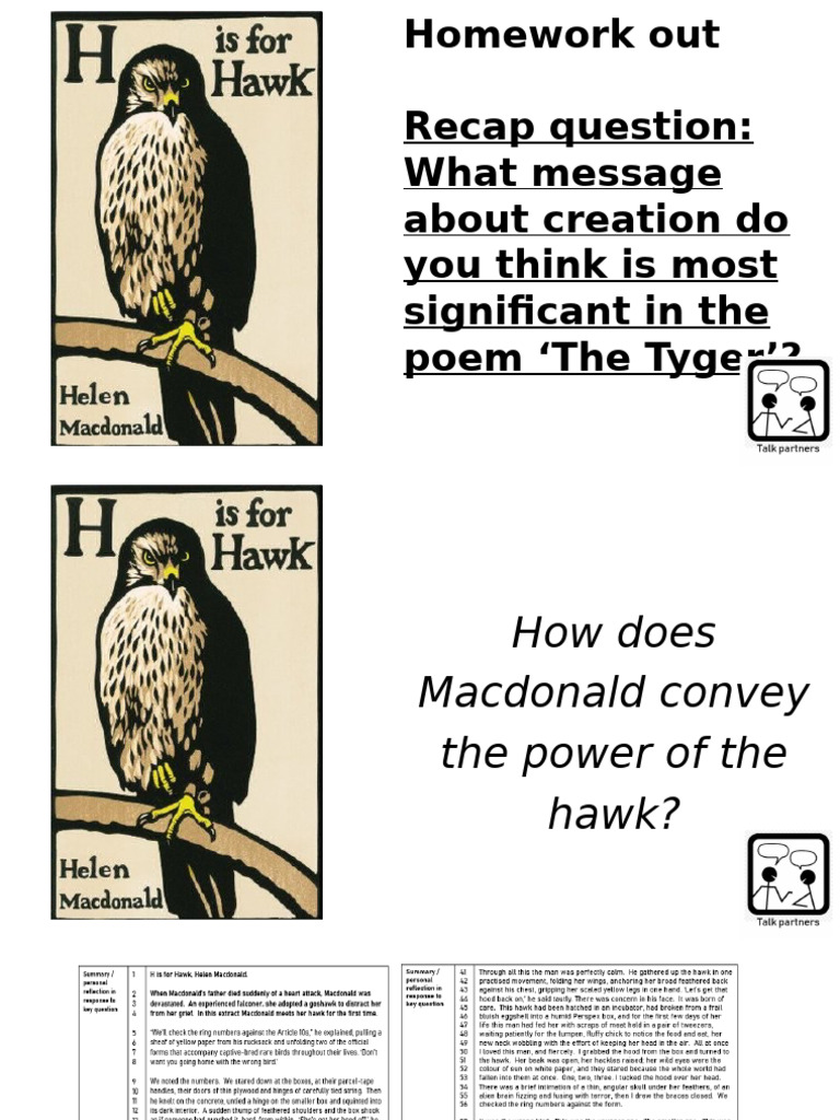 H Is For Hawk Harkness Lesson | PDF