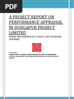 Dpl Project Report