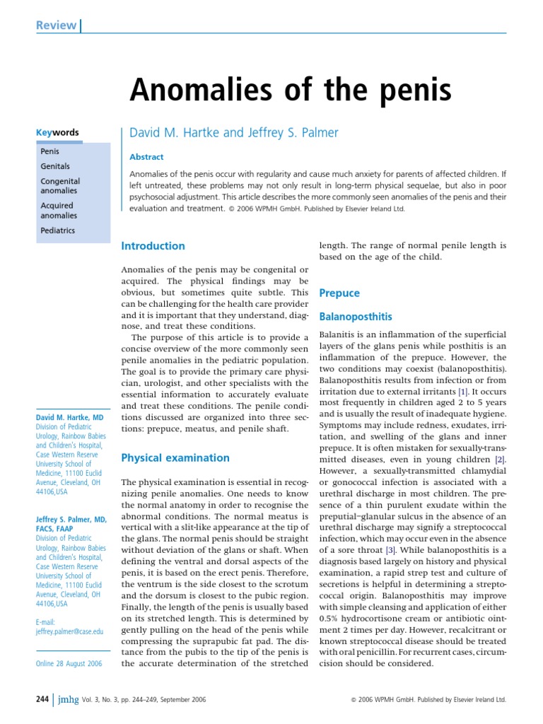 Anomalies of The Penies PDF Circumcision Sexual Anatomy