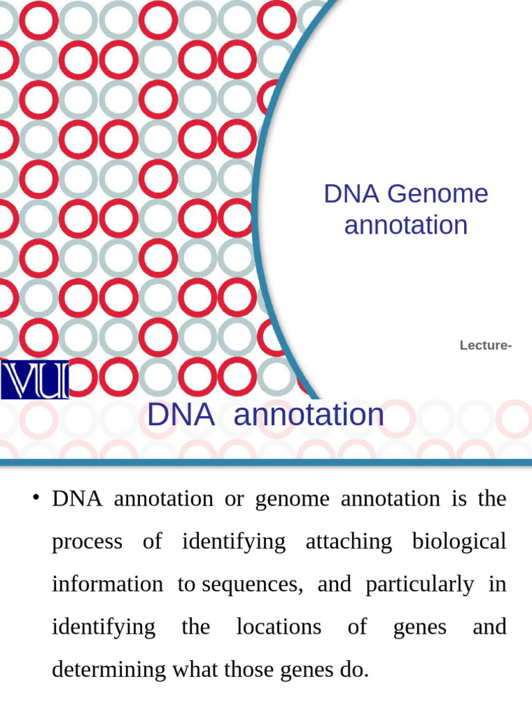 DNA Genome Annotation Explained | PDF