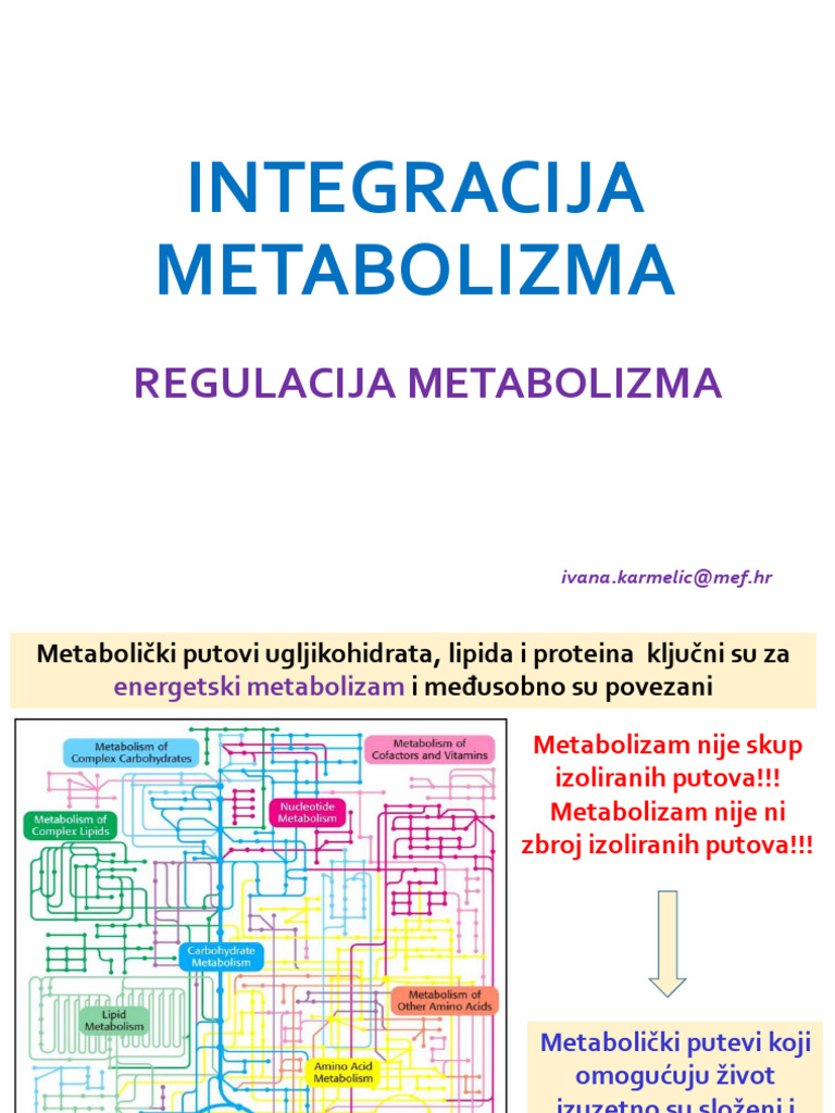 Integracija Metabolizma - 26.5 | PDF