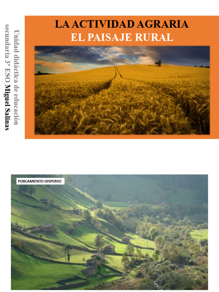 Sectr Agrario. Paisajes Rurales | PDF | Agricultura | Área rural