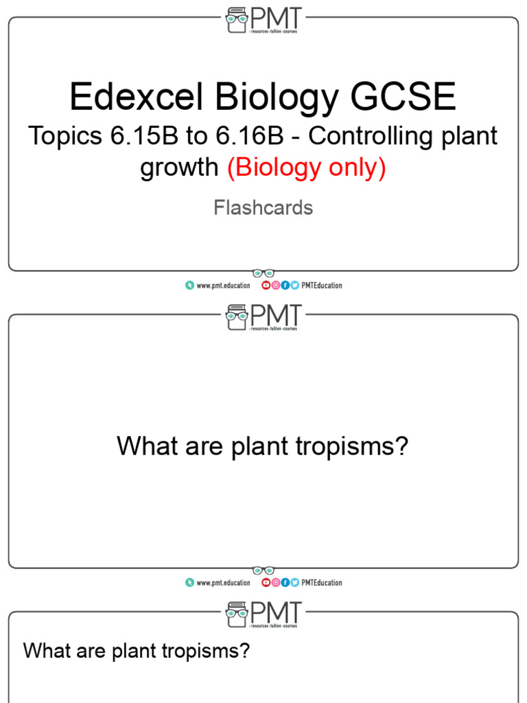 Plant Growth Control: Tropisms & Auxins | PDF | Root | Auxin