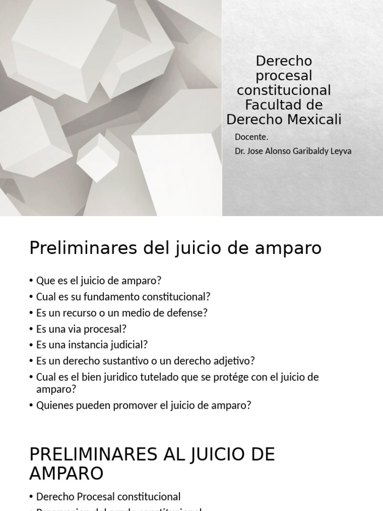 Procesal Constitucional Juicio de Amparo | PDF | Derecho Constitucional ...