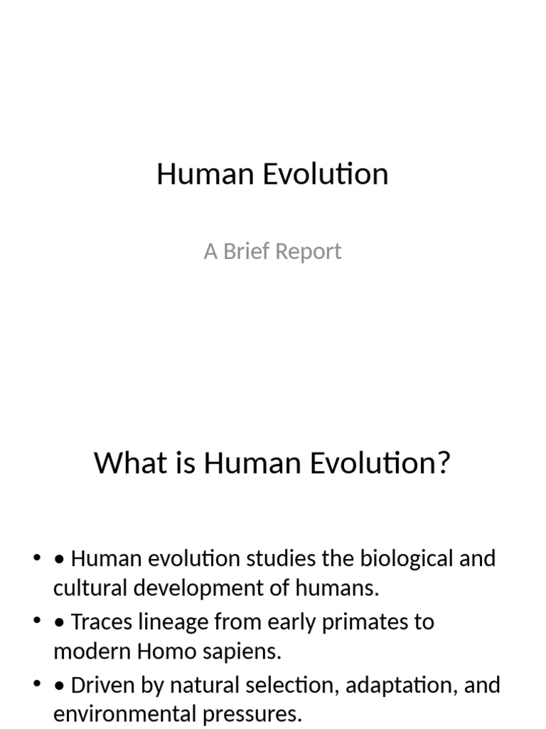 Human Evolution Report | PDF