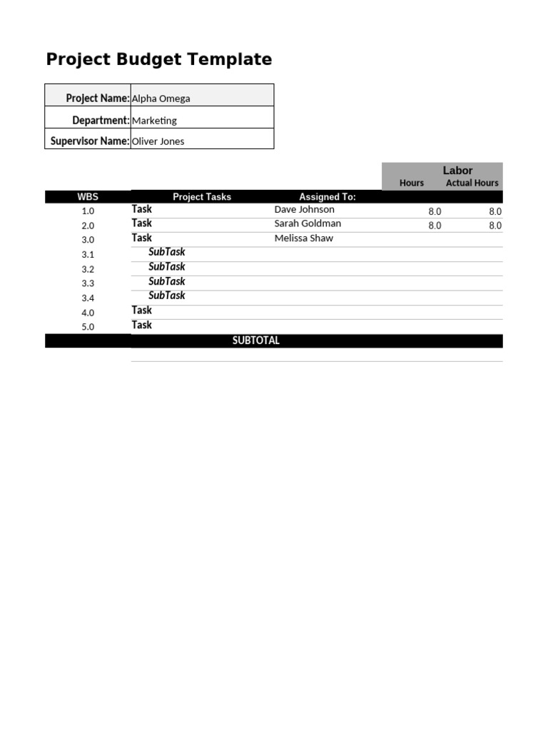 Budget Template | PDF | Project Management