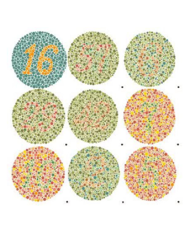 Tes Buta Warna | PDF