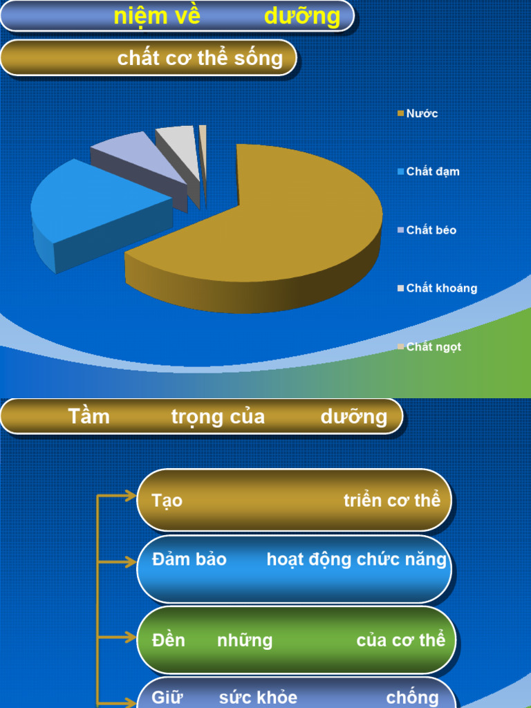 Xây D NG TH C Đơn-1 | PDF